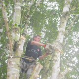 Cyprien Meskens, abattage, élagage d'arbres, pose de clôtures, création pelouse, pavage