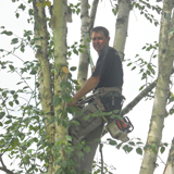 Cyprien Meskens, abattage, élagage d'arbres, pose de clôtures, création pelouse, pavage