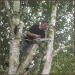 Cyprien Meskens, abattage, élagage d'arbres, pose de clôtures, création pelouse, pavage