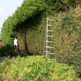 Cyprien Meskens, abattage, élagage d'arbres, pose de clôtures, création pelouse, pavage